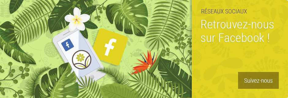 VV Plantes - Suivez nous sur Facebook